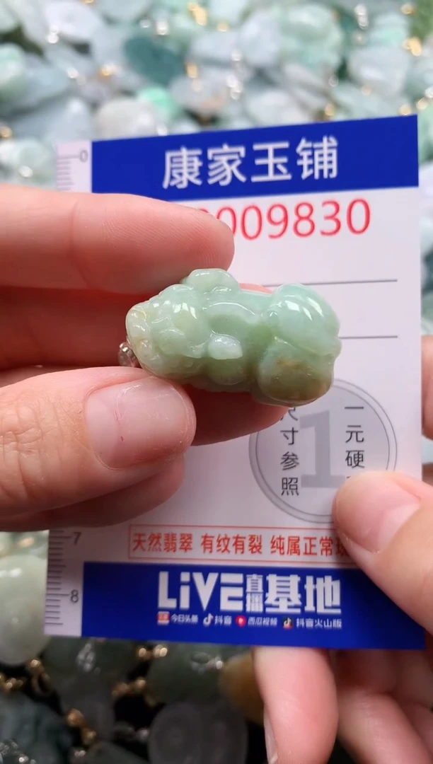 翡翠未镶嵌吊坠(不含链)9830