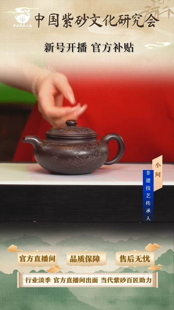 茶壶紫砂陶茶文化王         茄皮紫泥280cc左右