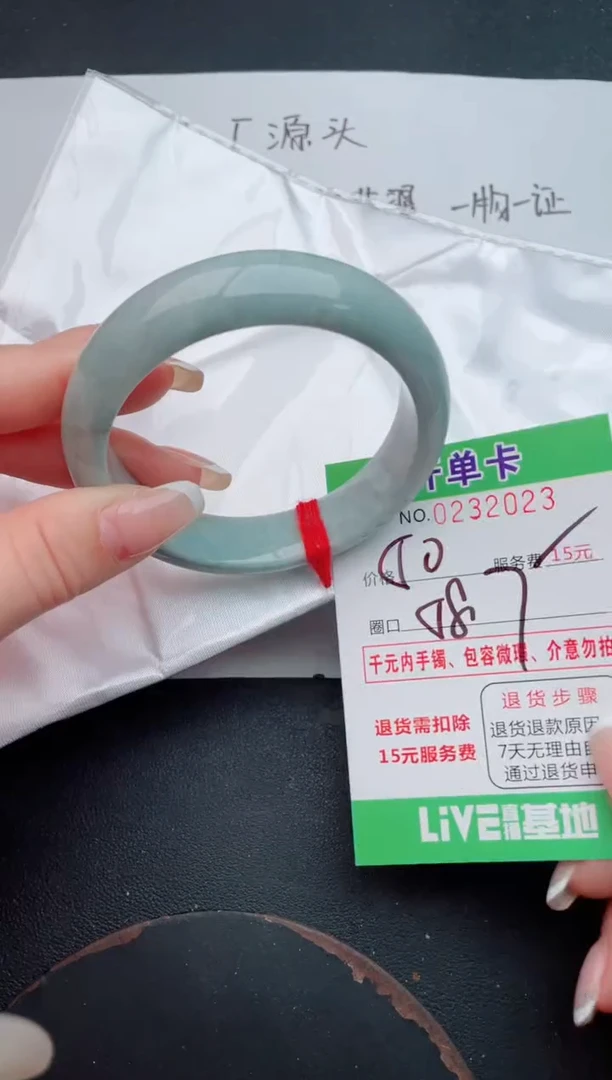 未镶嵌手镯翡翠23