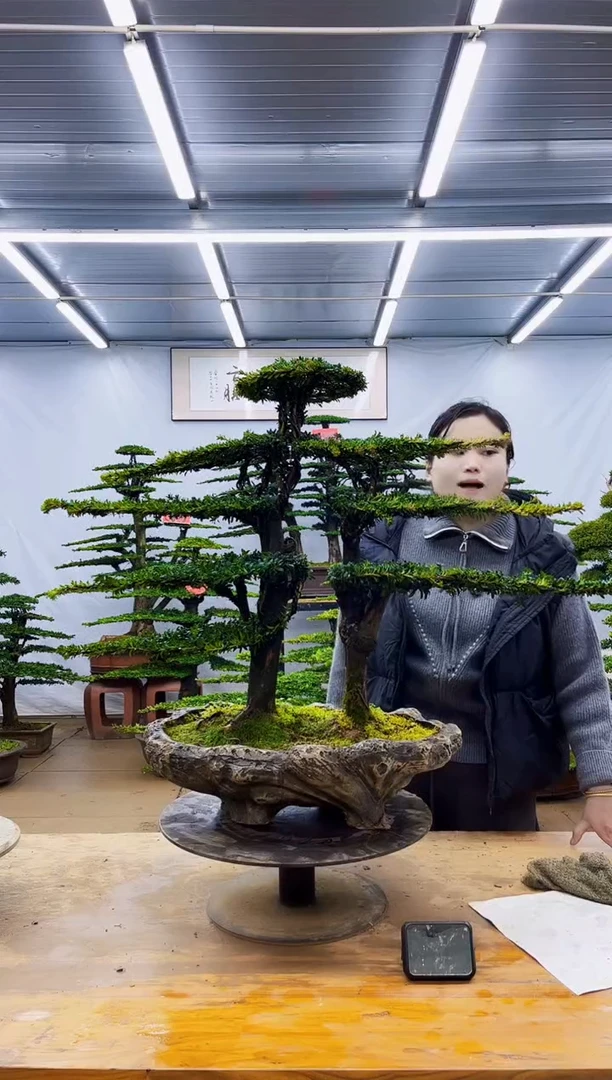 无花朵一物一拍，所见即所得