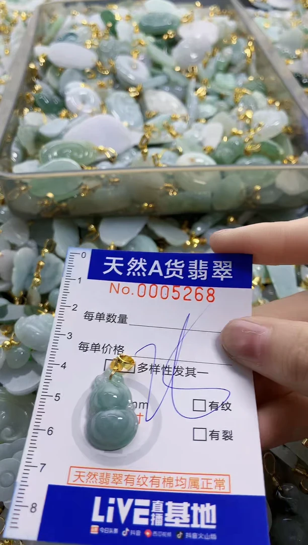 颈饰未镶嵌翡翠纯天然a货翡翠