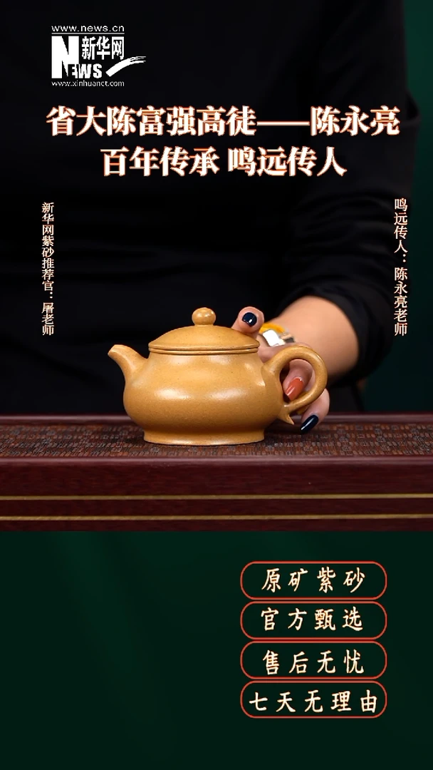 茶壶紫砂LZX黄金段潘壶