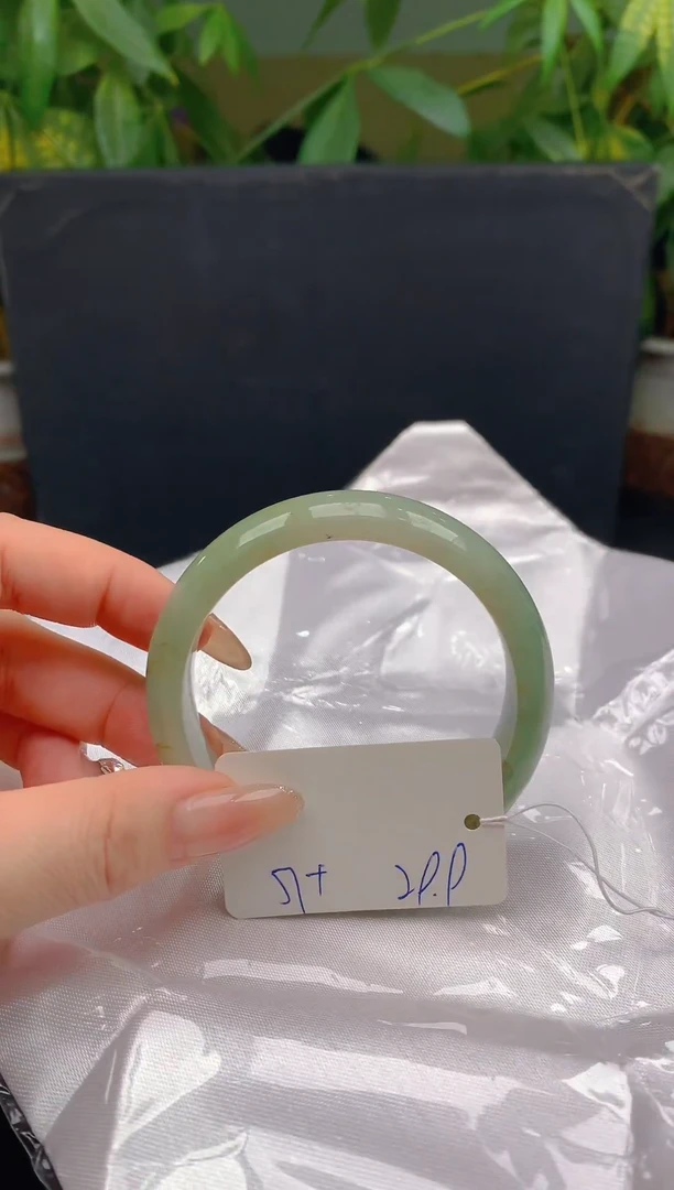 未镶嵌手镯翡翠6