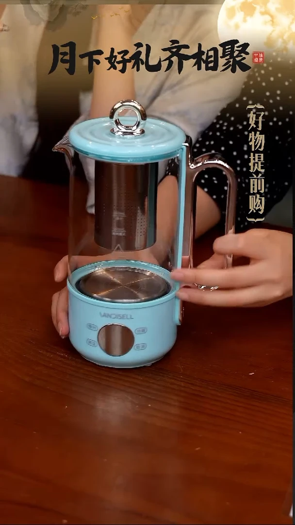 77-钛养生壶小型迷你煮茶壶600mL