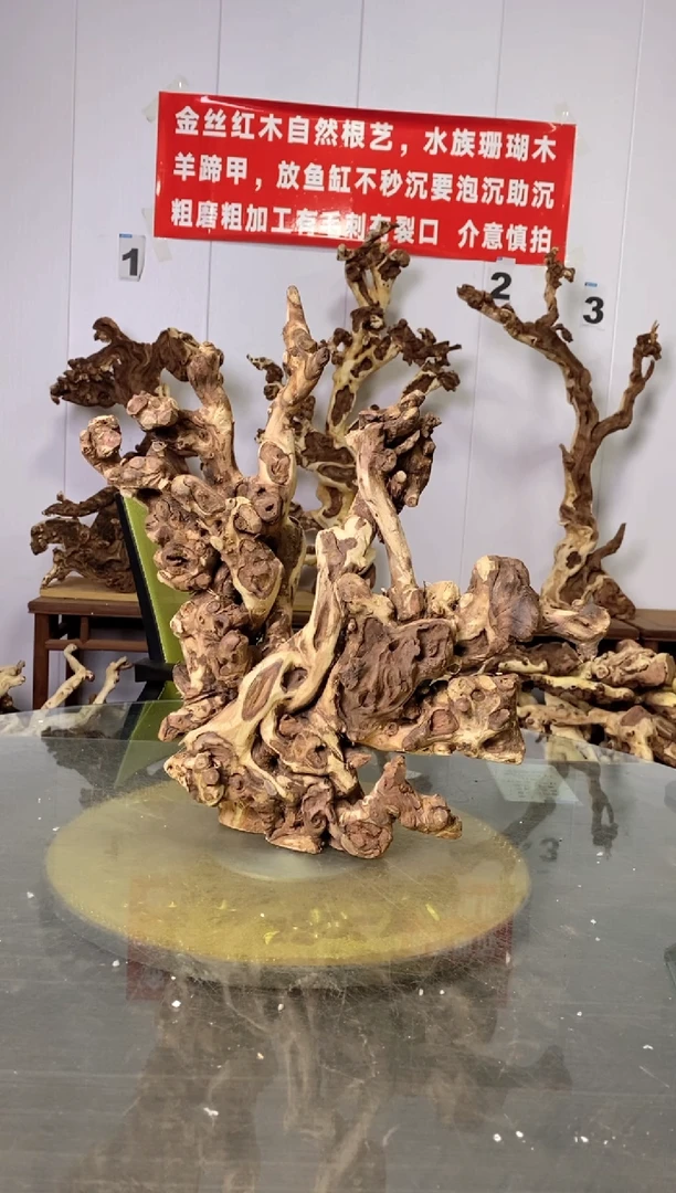 【闪购商品】香榧木枯树摆件 粗磨粗加工半成品 毛料