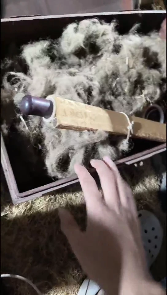 香榧木黄画111111