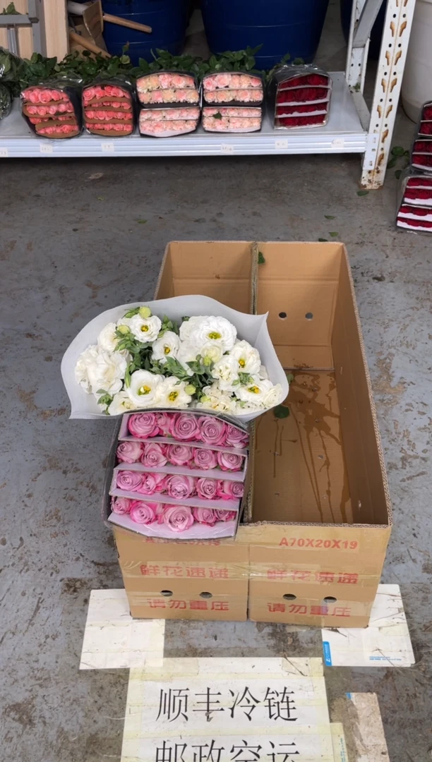 气场20枝+白桔梗800克