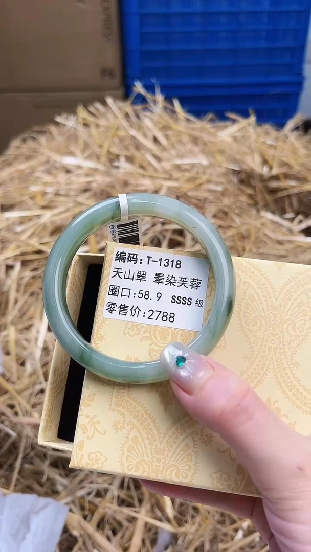 未镶嵌手镯石英质玉T-1318