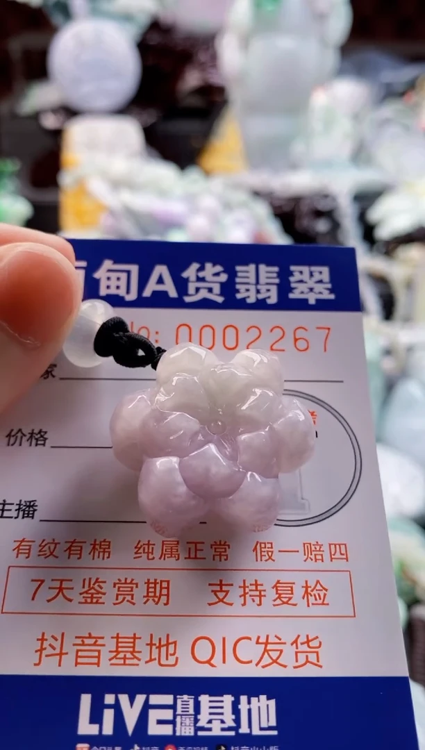 翡翠未镶嵌吊坠(不含链)1