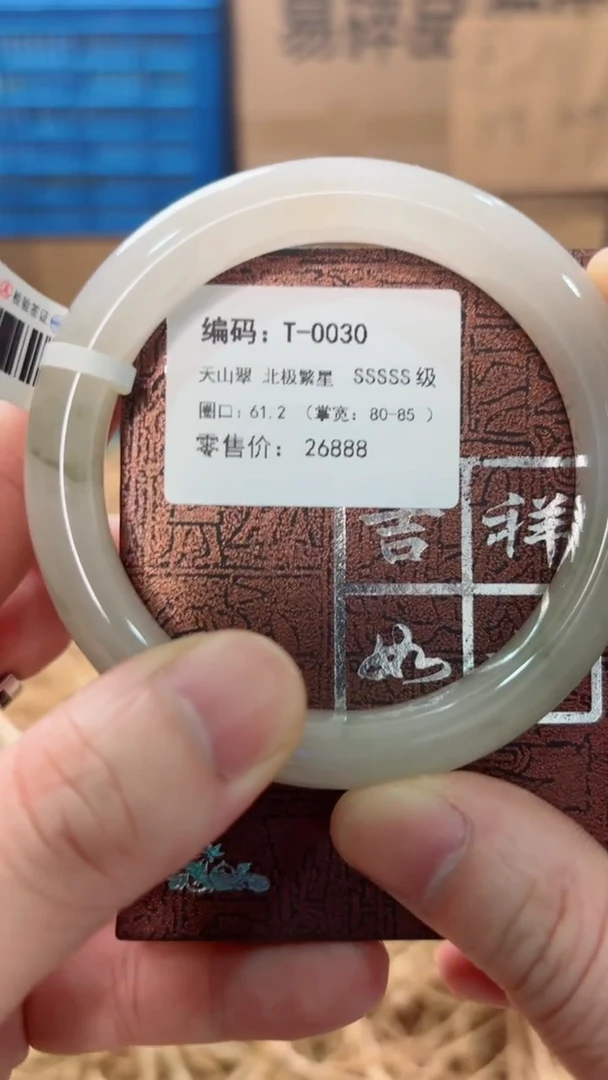 未镶嵌手镯石英质玉T-0030