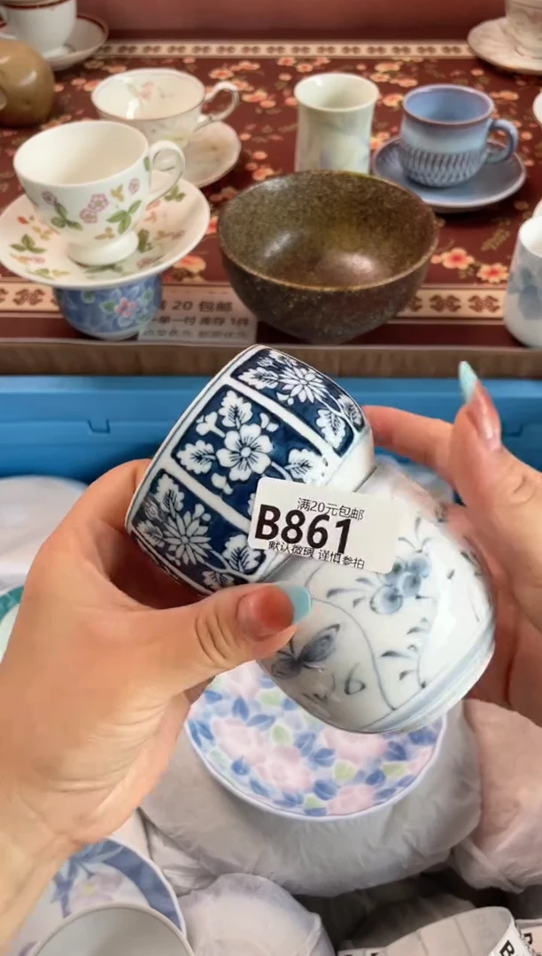 瓷片李**子瓷器瓷器B861