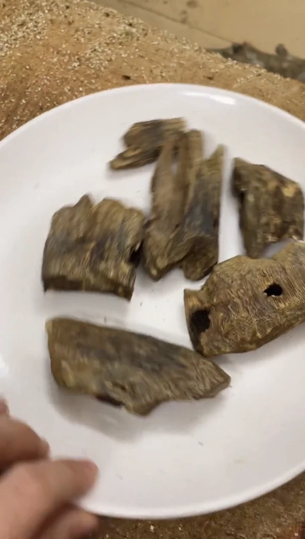 沉香碎屑沉香棋楠沉香 原料文创 多样性发货1份块料