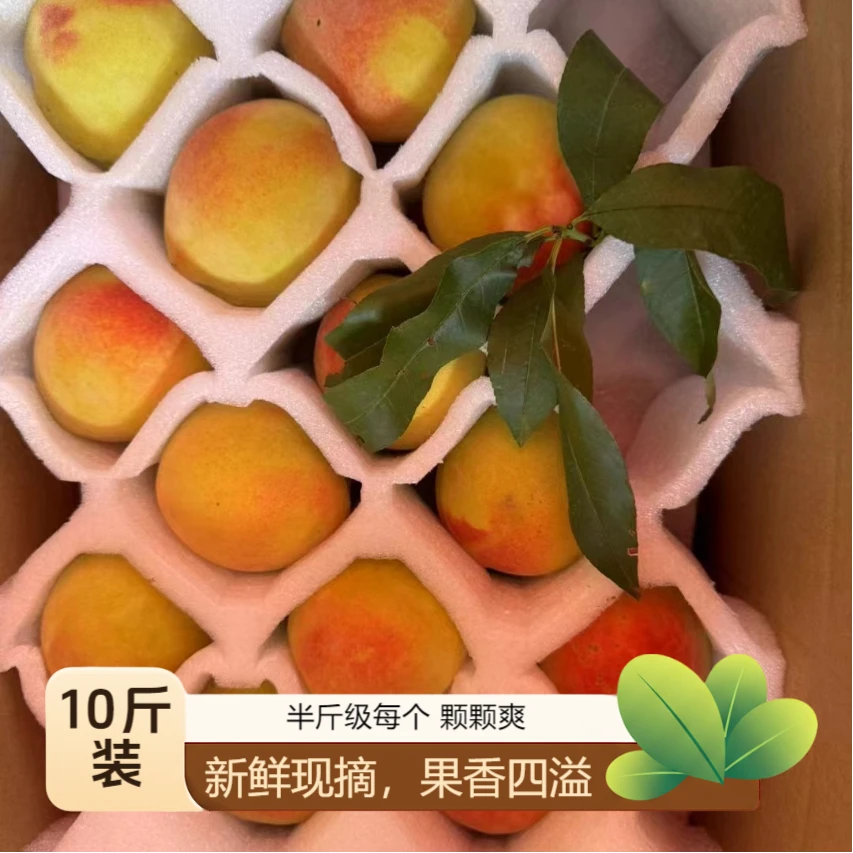 10斤装锦绣黄桃 麻阳高山黄桃整箱桃子大桃水蜜桃麻阳毛桃特价