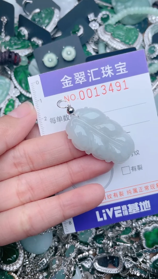 【闪购商品】翡翠颈饰未镶嵌13491.......1