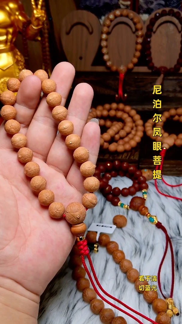 手串凤眼菩提新籽12