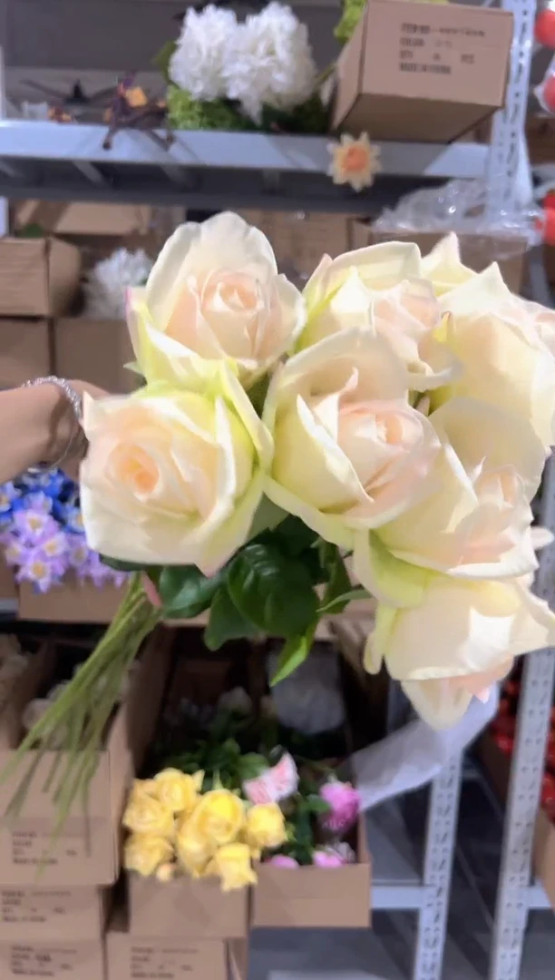 10枝白绿色手感保湿双子座