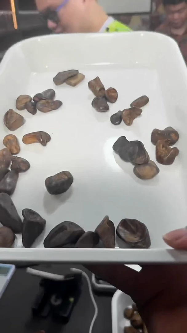 沉香吊坠113号舍利子多样性发一