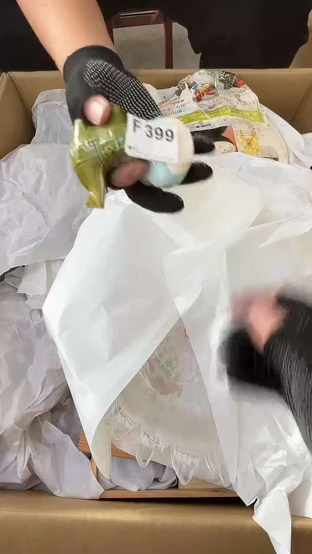 荷**日直播间闪购专用链接399