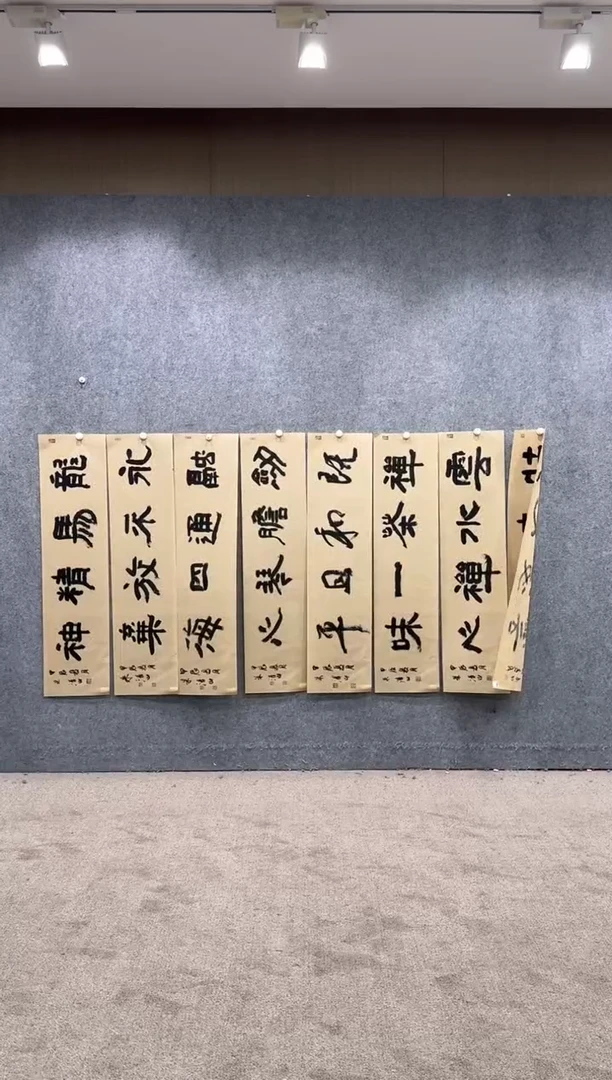 【闪购商品】书法pmw不二轩旗舰店书法ZQS4