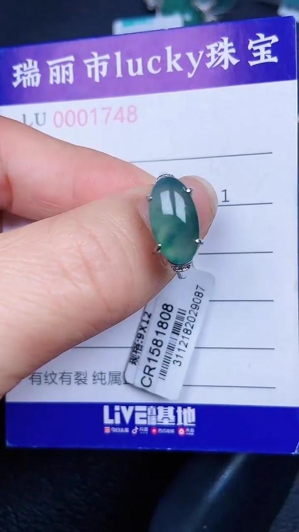 颈饰银S925镶嵌翡翠1748/