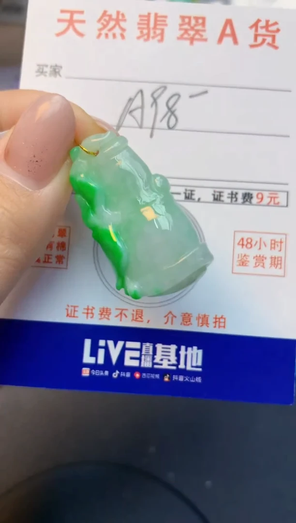 颈饰未镶嵌翡翠天然A货缅甸翡翠百元以上9元证书费自理