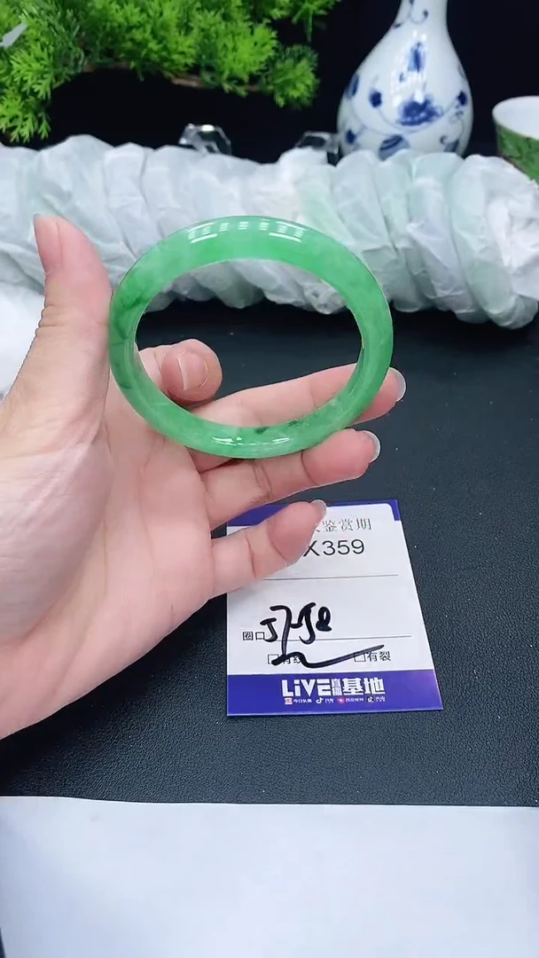 未镶嵌手镯翡翠359