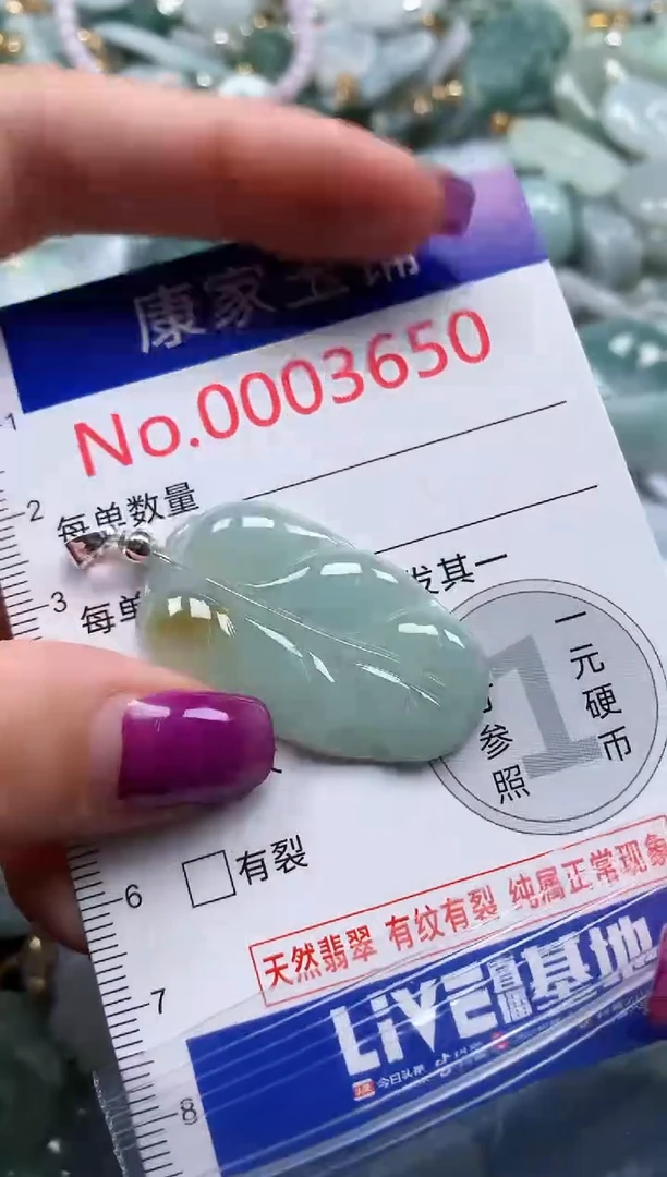 颈饰未镶嵌翡翠3650