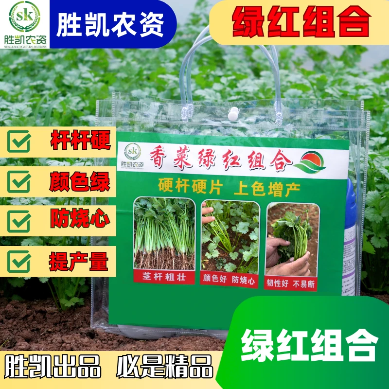 绿红组合（香菜 芹菜 菠菜增产方案）