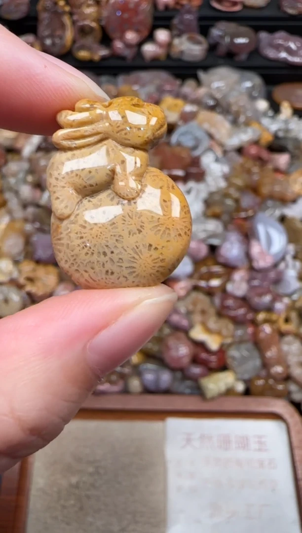 颈饰未镶嵌硅化珊瑚（珊瑚玉）279