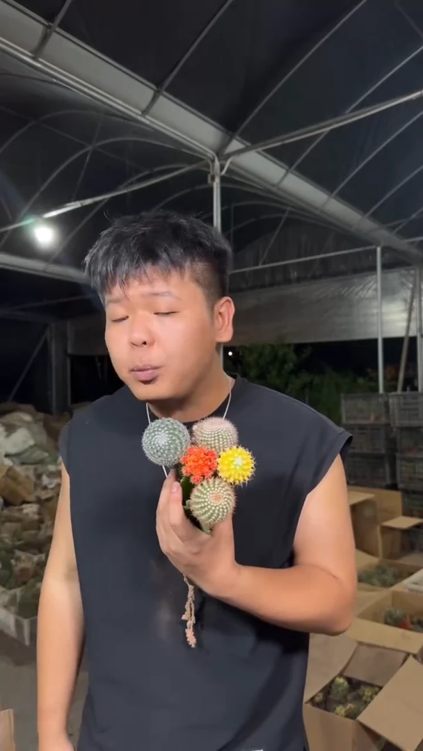 5色球组合【嫁接】