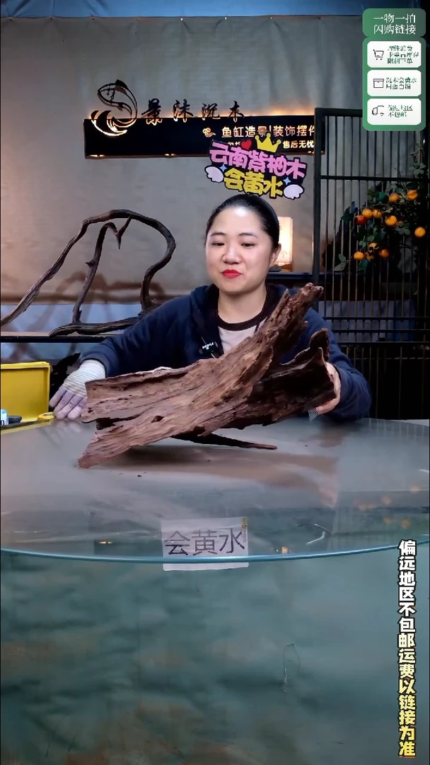 景沐沉木C919 32-16-41