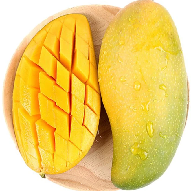 海南金煌芒果新鲜现摘净重4.5-5斤（收到需催熟食用）