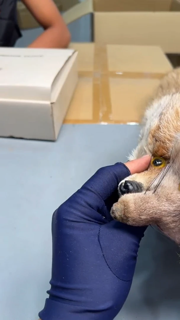 权**饰紫砂茶具紫砂茶具