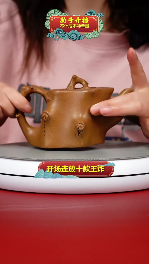 茶壶紫砂蒋静明老段泥梅花斜树桩220CC