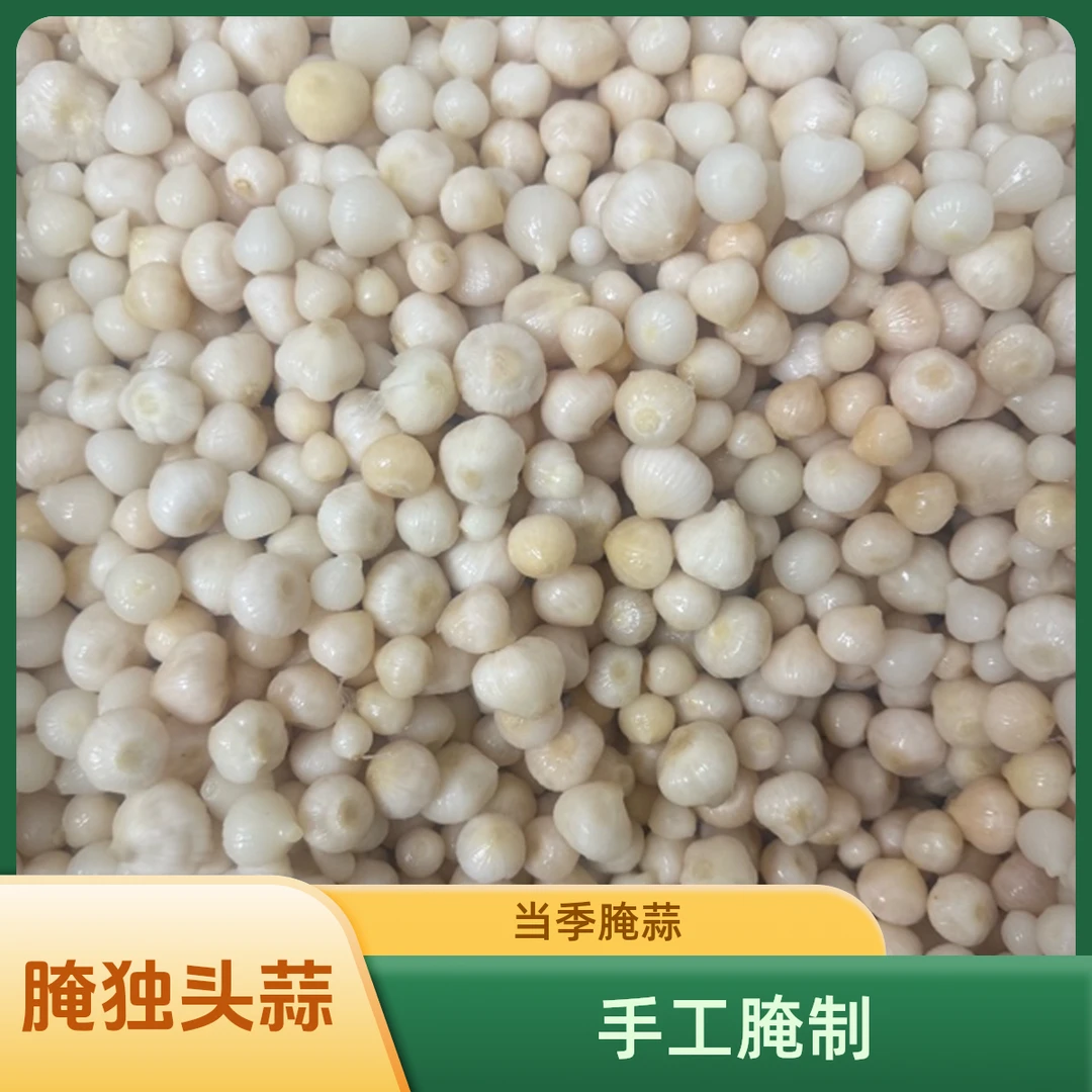 当季腌制独头蒜河南固始特产新鲜嫩蒜腌制独头蒜下饭菜即食