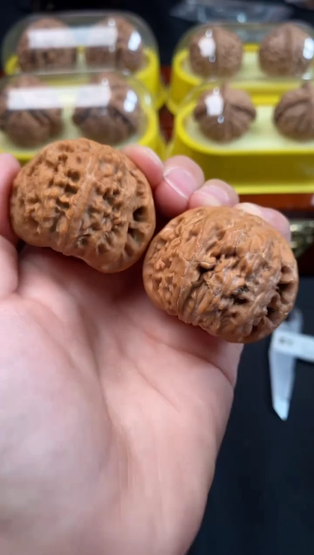 把件文玩核桃白狮子r968