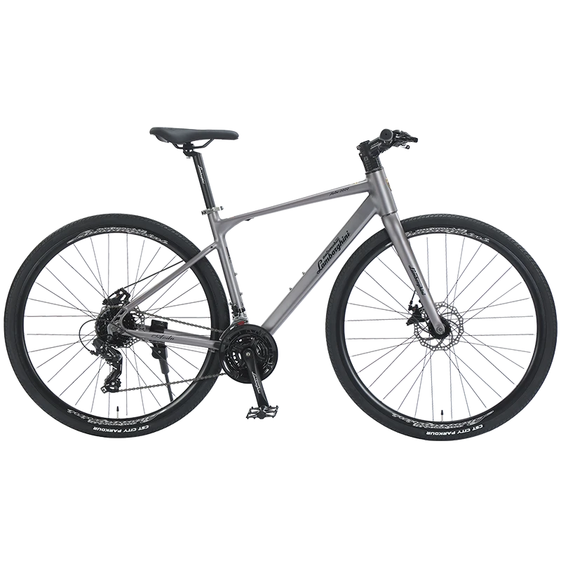 GL2000平把公路自行车偏远地区链接（联系客服再拍）