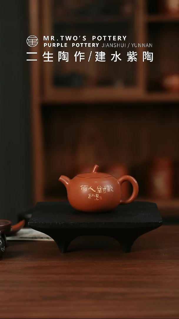 二生陶作精品160cc省工级望舒壶01