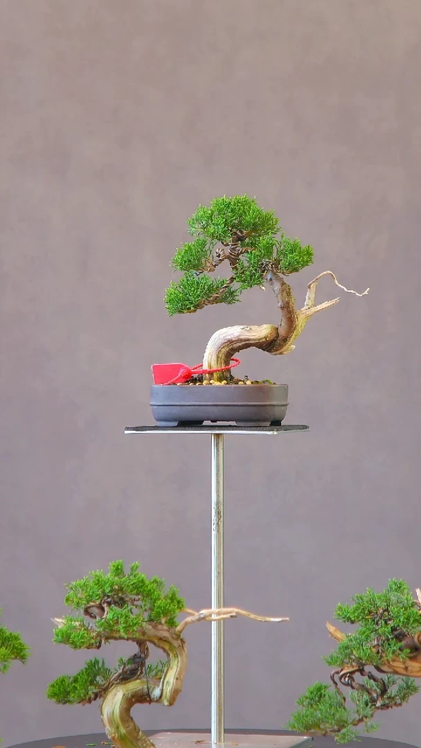 完全开放用****02667系渔川系渔川系渔川