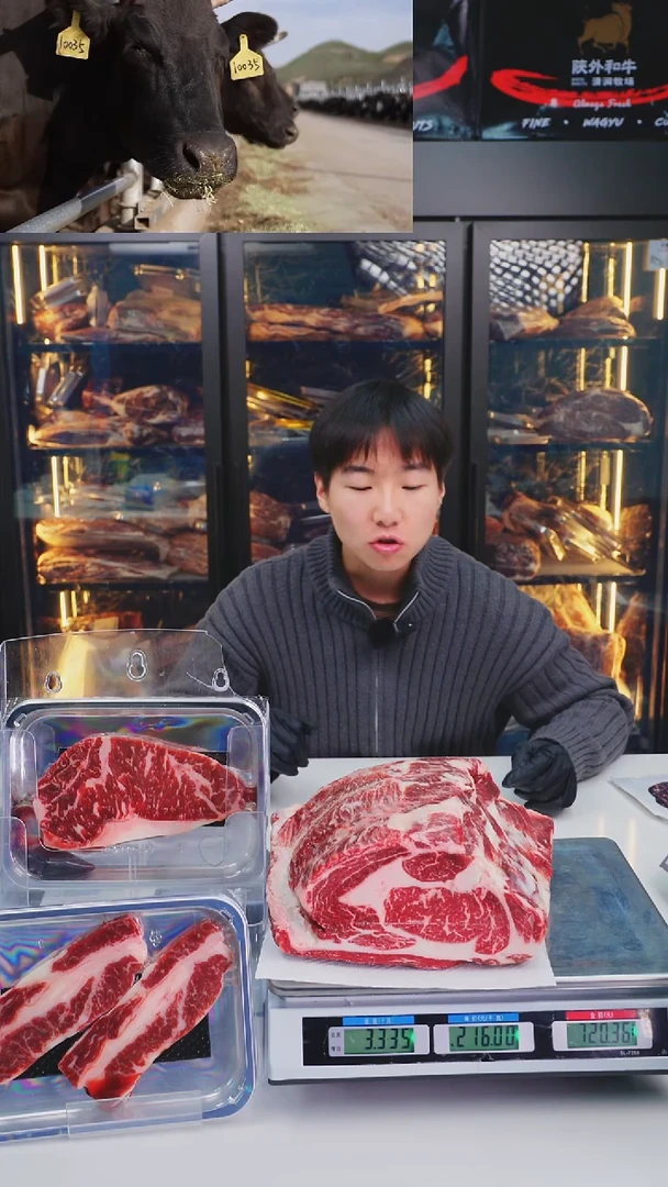 12个月中国大陆a1上脑3.3kg