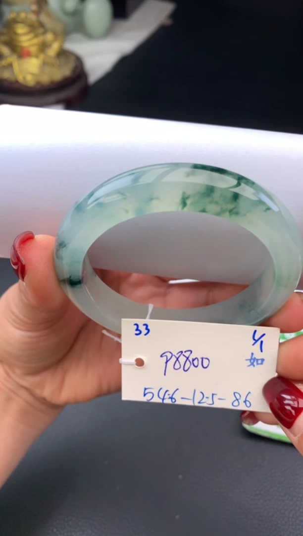 未镶嵌手镯翡翠假一赔三   手镯