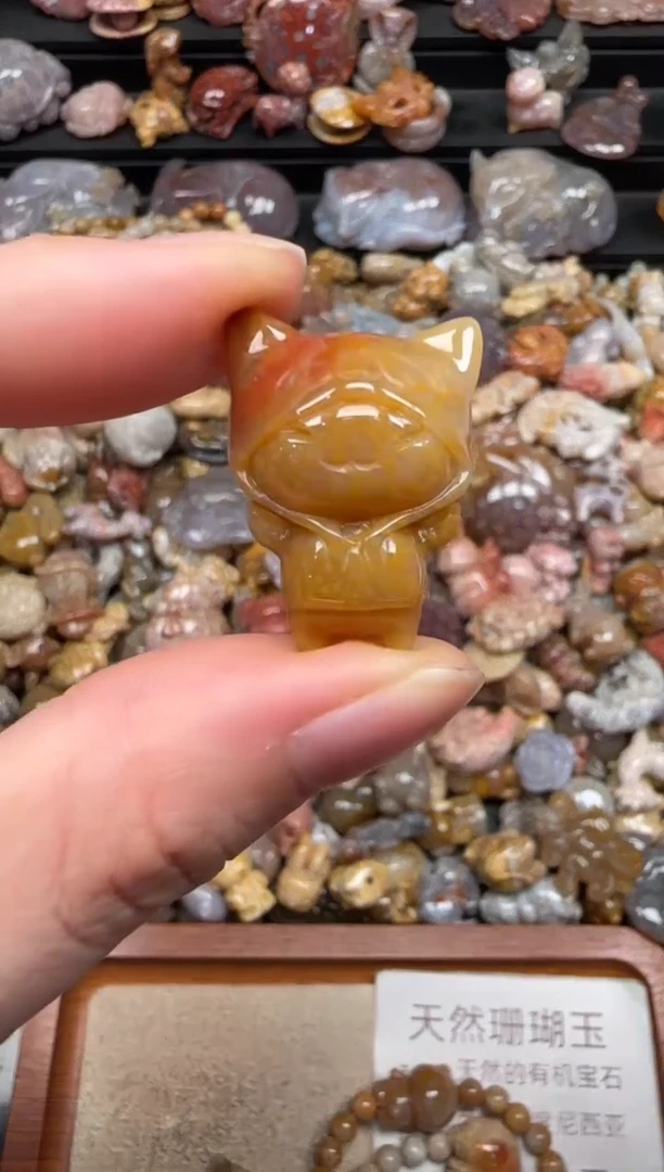 硅化珊瑚（珊瑚玉）未镶嵌颈饰183