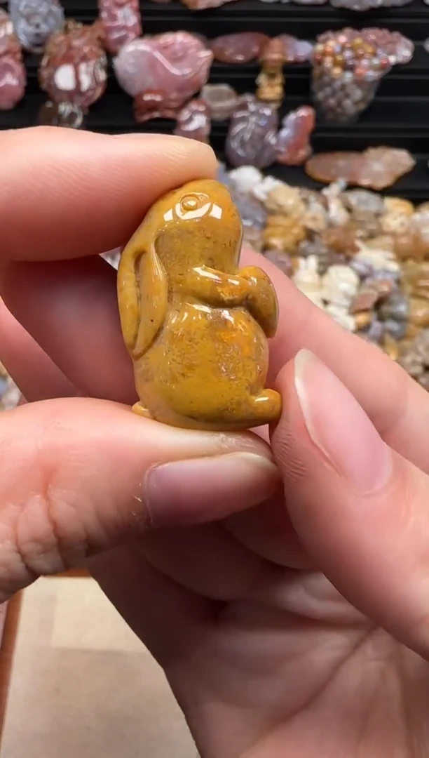 【闪购商品】硅化珊瑚（珊瑚玉）颈饰未镶嵌275