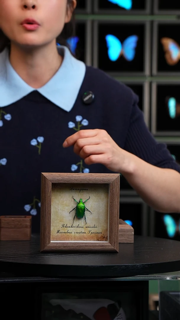 绿萝花金龟未展翅复古版4寸木纹方框