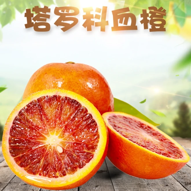 重庆玫瑰香橙塔罗科血橙4.5斤装清甜多汁当季水果