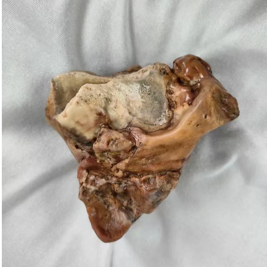 阿拉善奇石沙漠漆戈壁石彩石俏色玛瑙玉奇石摆件