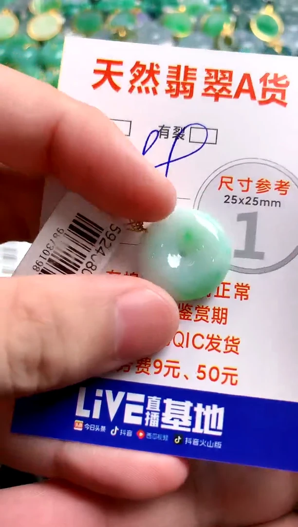 翡翠18K金镶嵌颈饰14002913