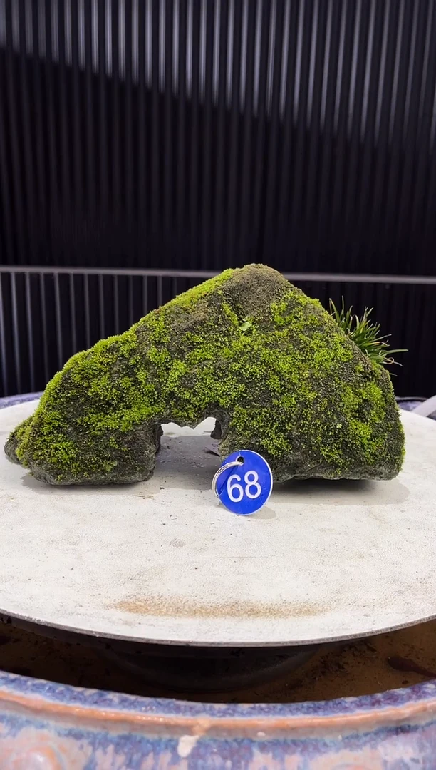 68造型吴定石一物一拍专属