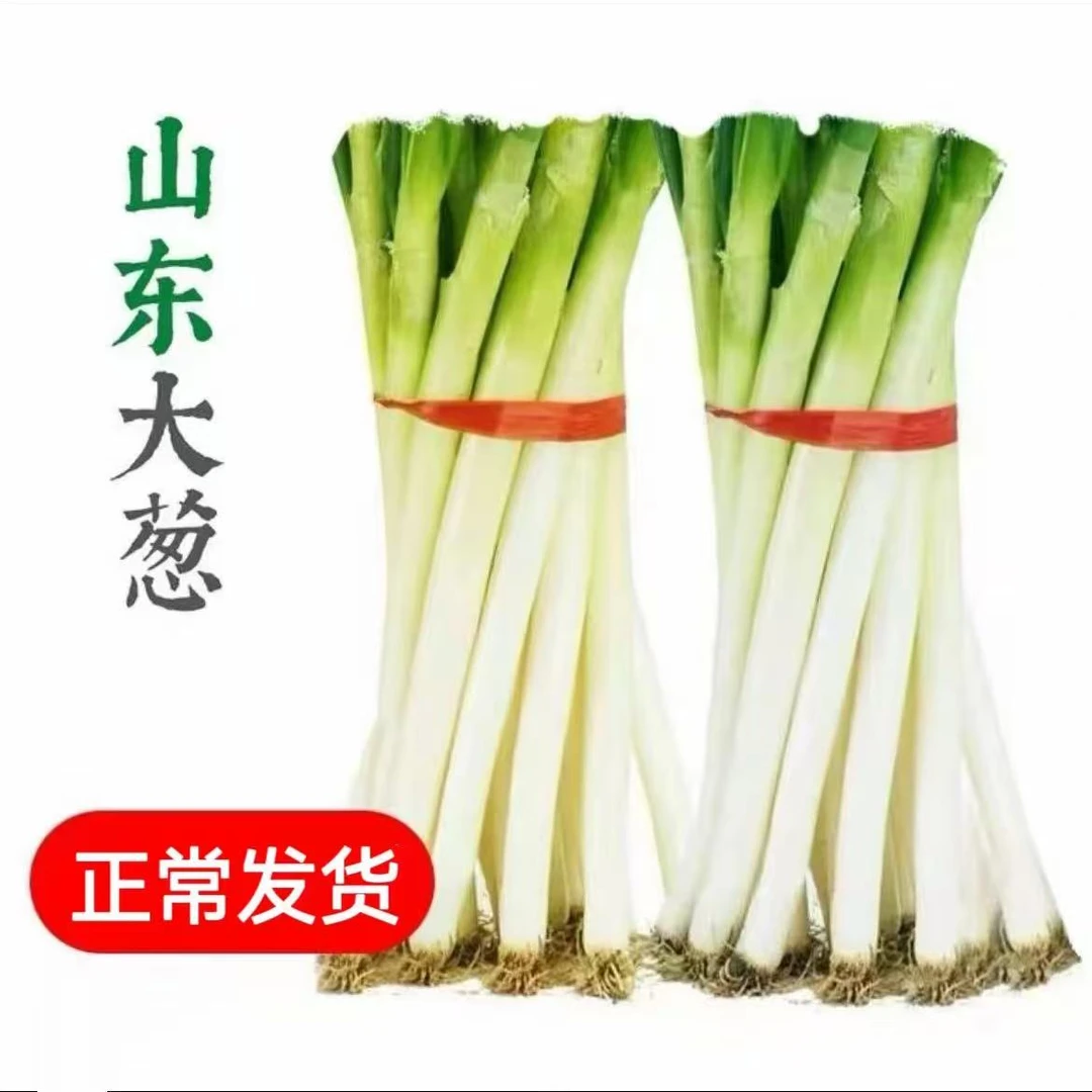 山东铁杆大葱  一级精品【只发葱白】生吃脆甜调味香