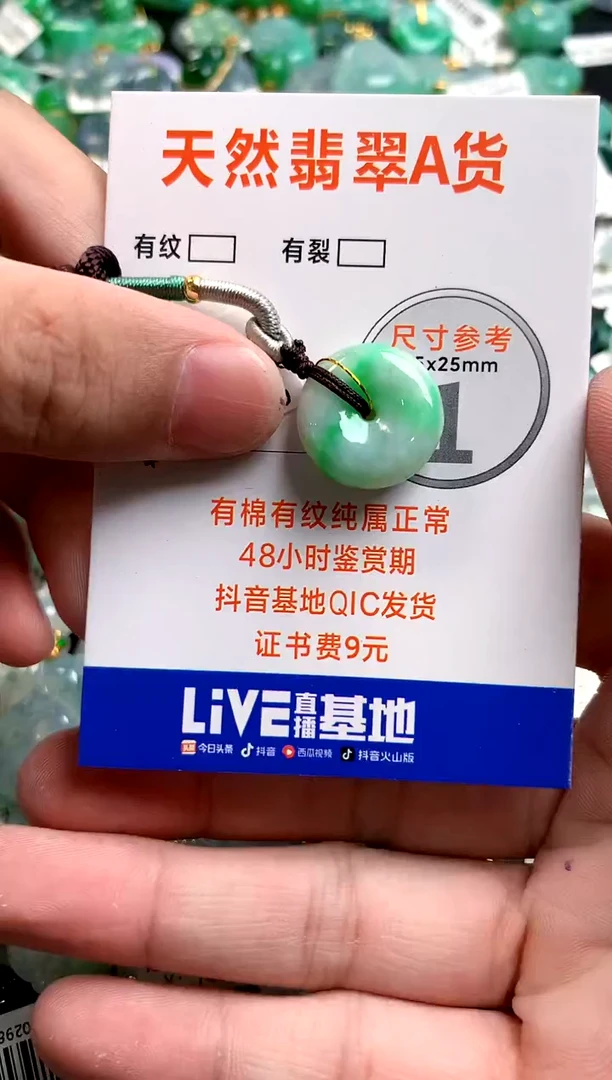 颈饰未镶嵌翡翠0013187485